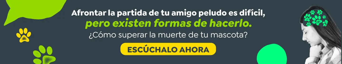 ¿Cómo superar la muerte de tu mascota?