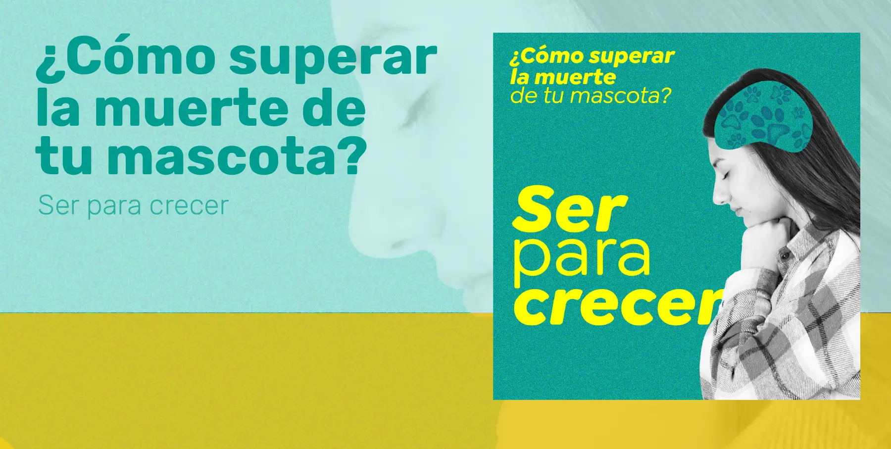 ¿Cómo superar la muerte de tu mascota?