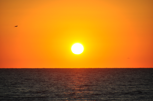 El sol es una estrella realmente influyente en nuestro planeta