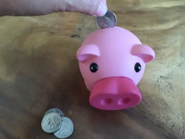 Importancia del ahorro: paraguas financiero