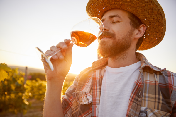 ¿Cómo se hace la cata de vinos?