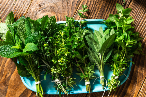 Hierbas aromáticas: sus sabores y beneficios saludables