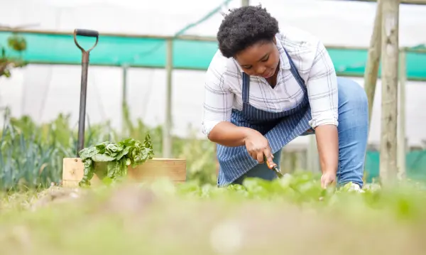 Agricultura ecológica: Crear ambientes sostenibles