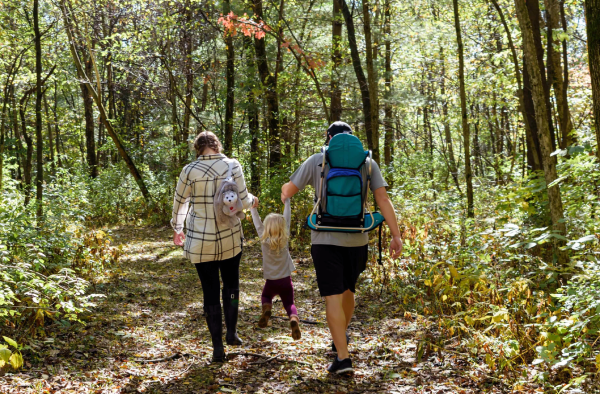 Actividades interesantes para hacer en un paseo familiar