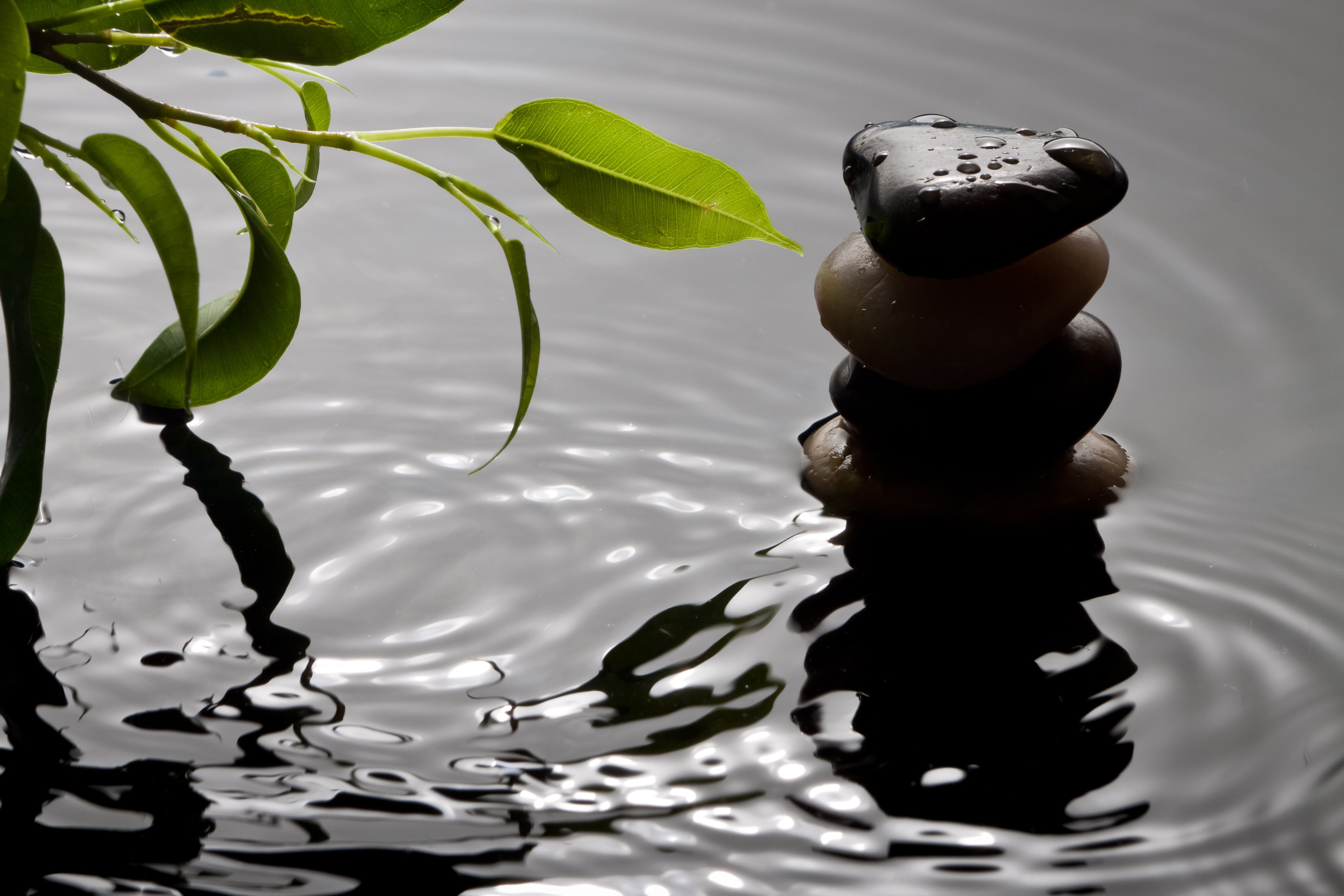 Tips para mejorar el Feng shui del hogar