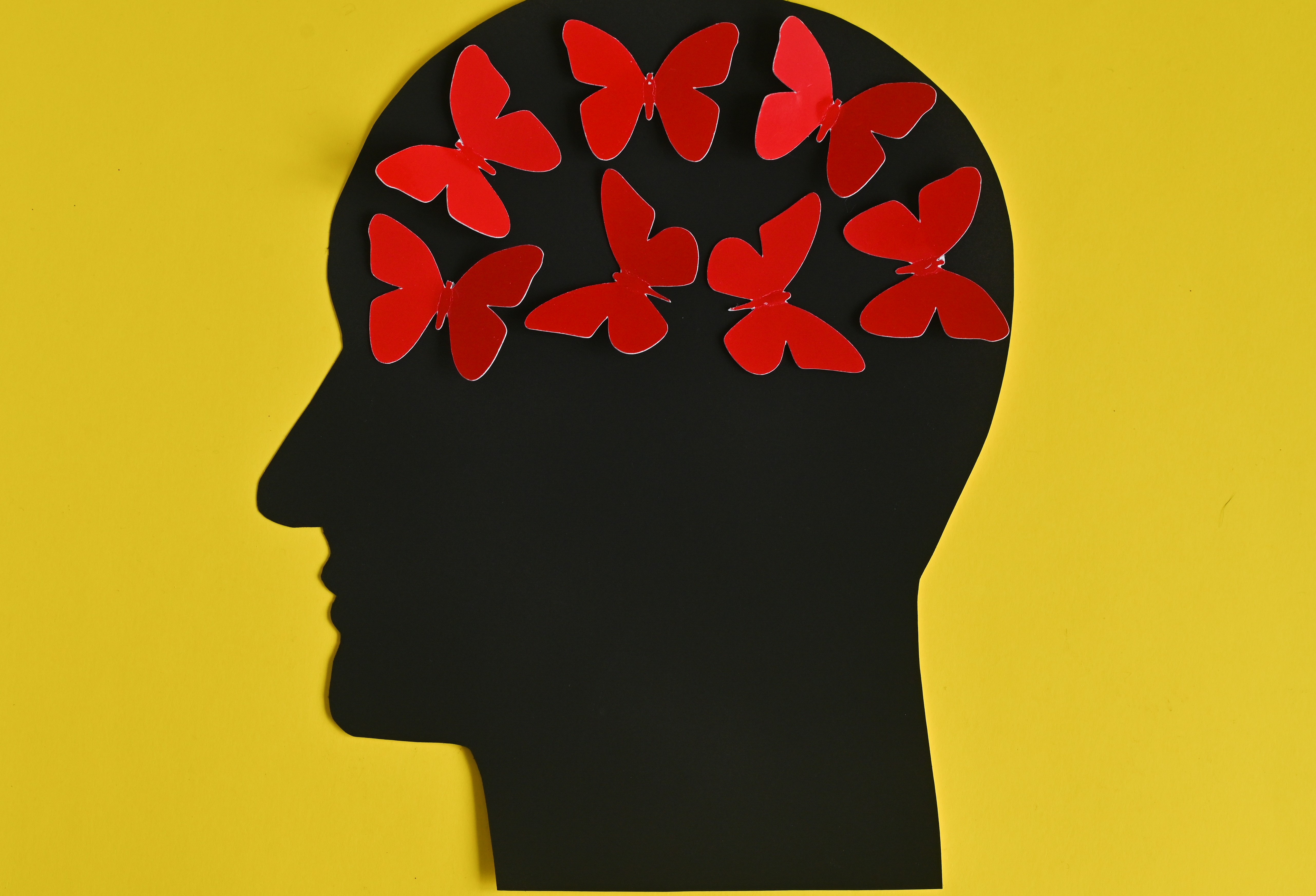 Neurociencia del optimismo: hábitos para bienestar y salud mental