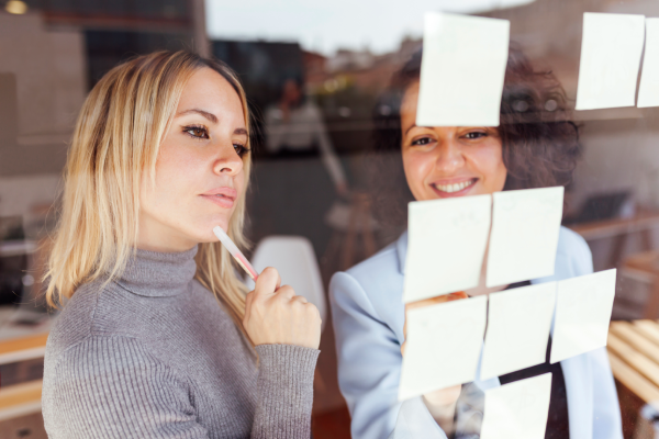 Cocreación, el proceso de hibridar en la innovación