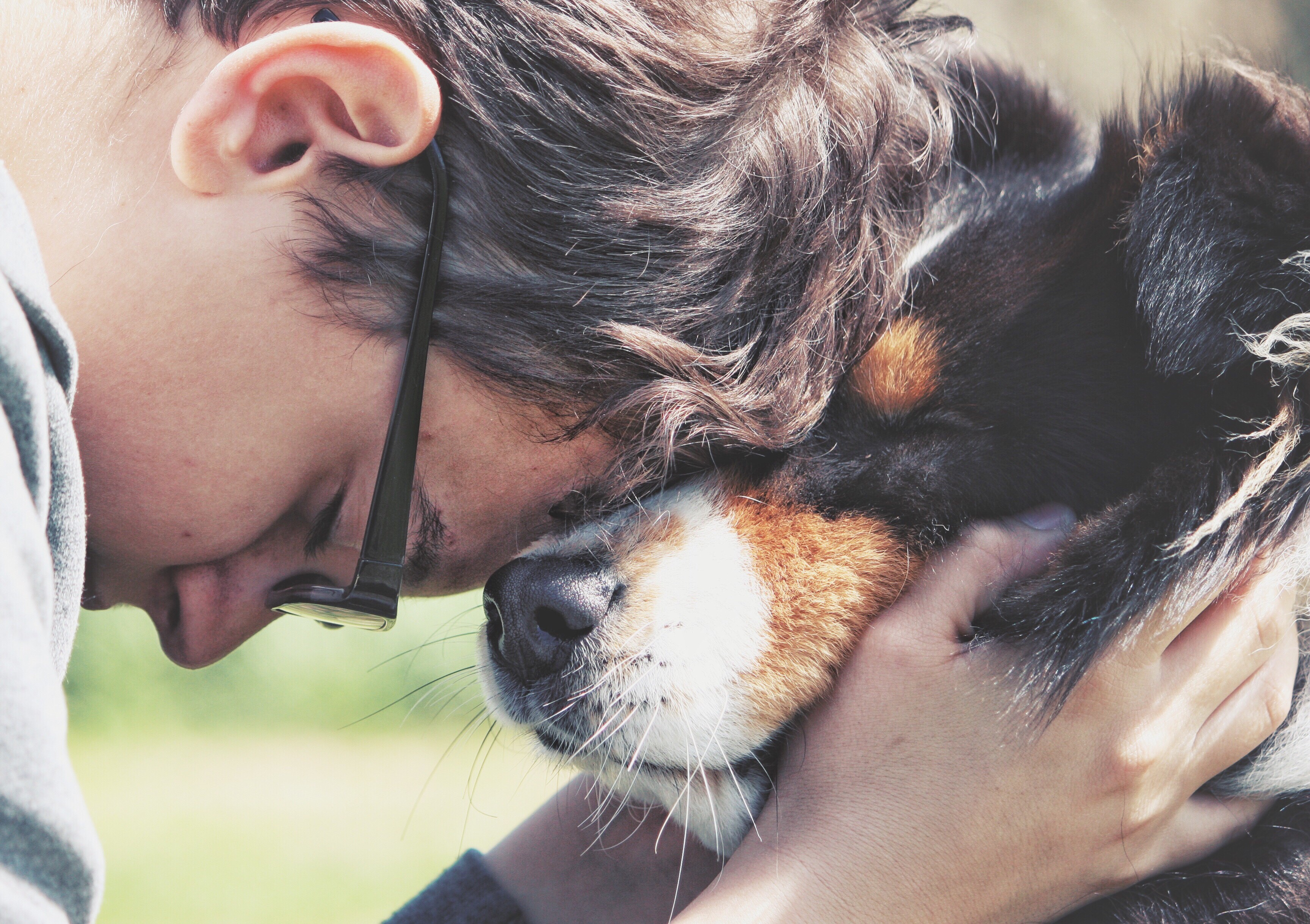 Mascotas y salud emocional: El impacto positivo de los animales en tu bienestar