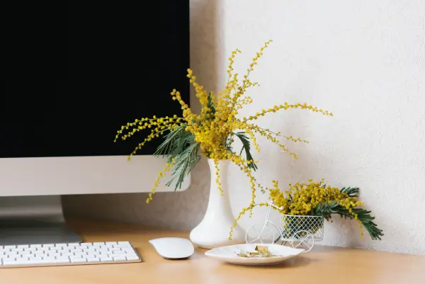 El Escritorio: Claves del Feng Shui para aumentar la energía y el desempeño