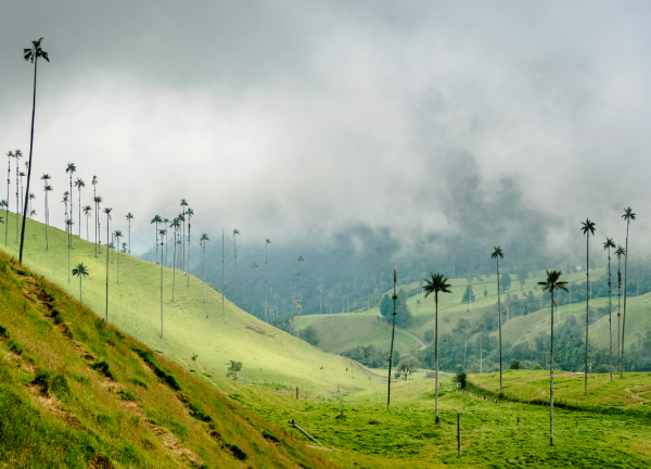 Destinos rurales en Colombia: desconecta y relájate en plena naturaleza