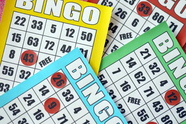 ¡Bingo! y un poco de su historia