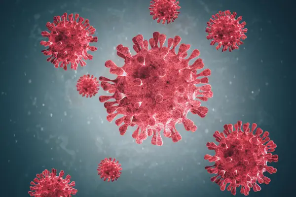 ¿Qué es toxoplasmosis y cómo prevenirla?
