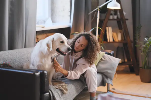 Beneficios de tener mascotas