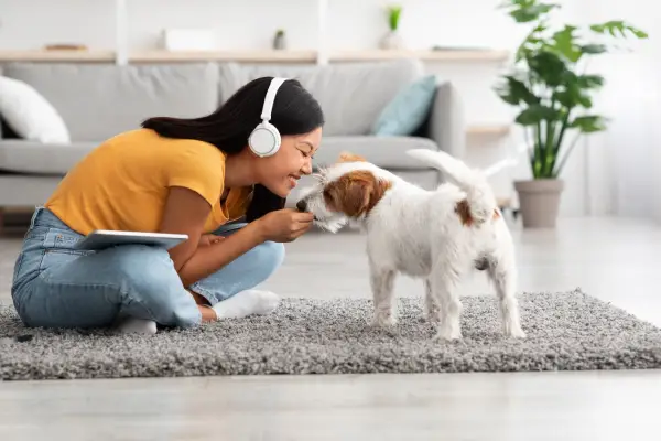 Tener una mascota: 10 cosas que debes saber