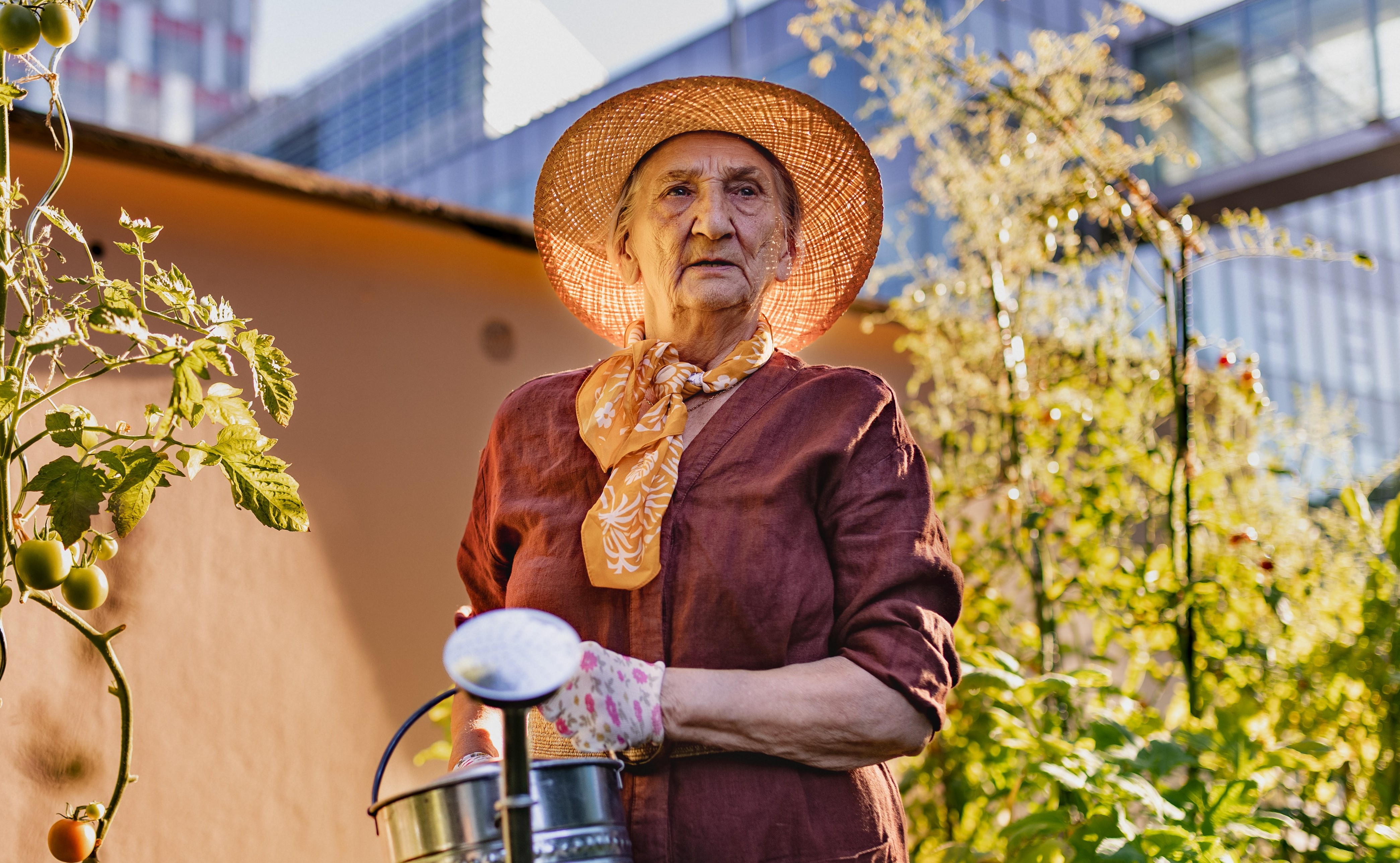 Huertas Urbanas: Cultiva tus alimentos en casa y ahorra dinero