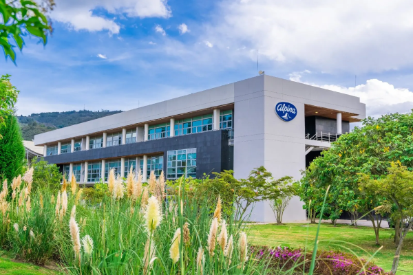 Cómo Alpina implementó su transformación digital