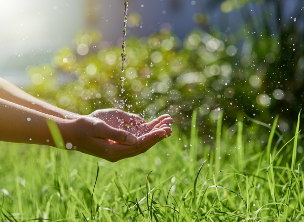 Recurso renovable: el agua