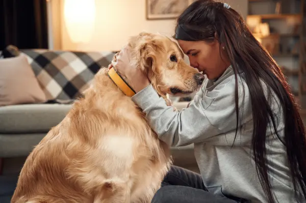 Pérdida de una mascota ¿Cómo superarlo?