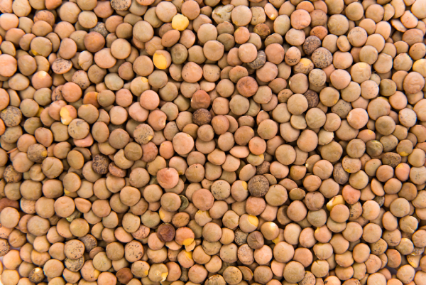 Mata de lenteja: beneficios para la salud 