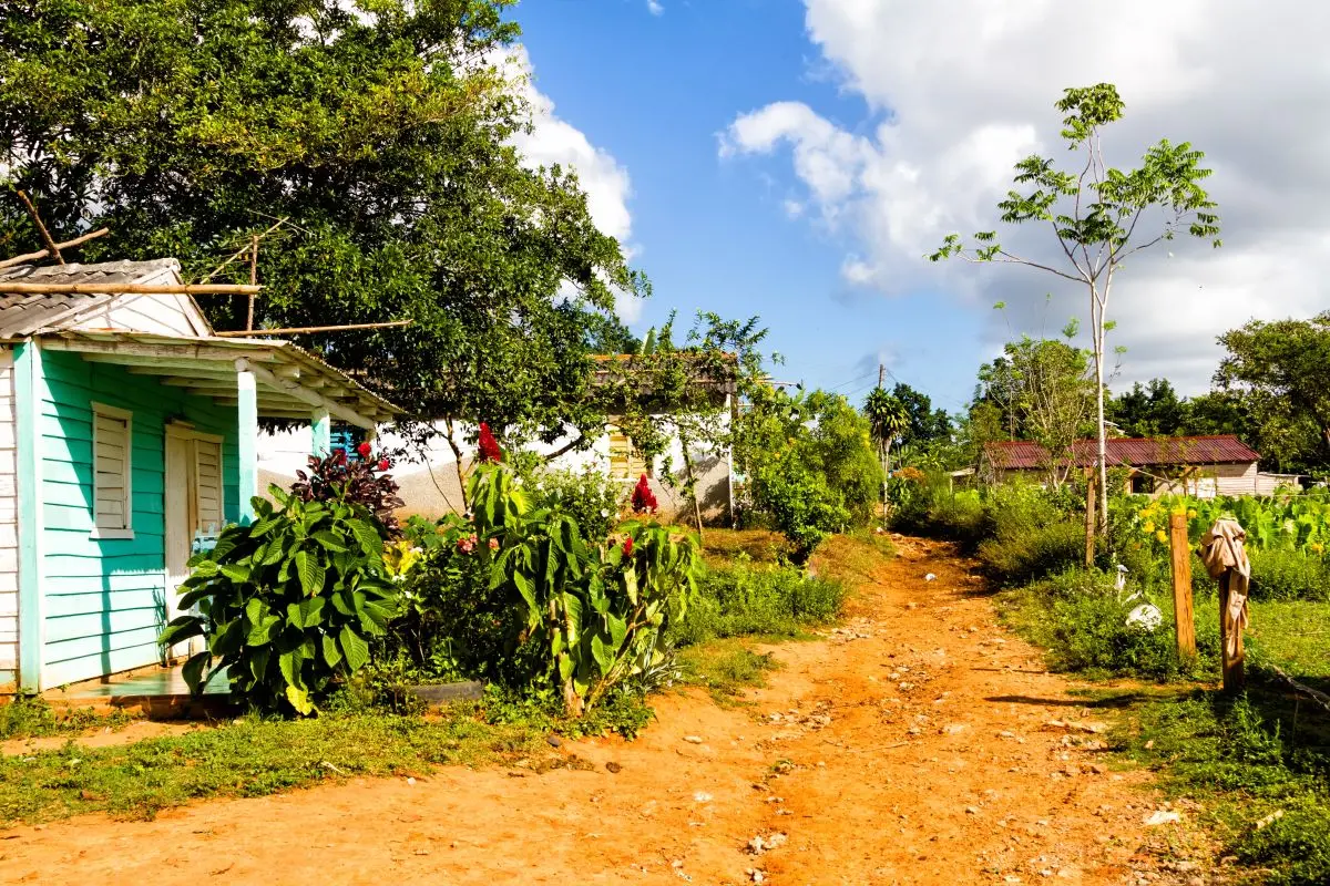 Trail running: beneficios, técnicas y recomendaciones para correr en montaña