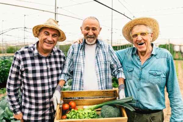 Crédit Agricole: Historia, Impacto y lecciones para Cooperativas
