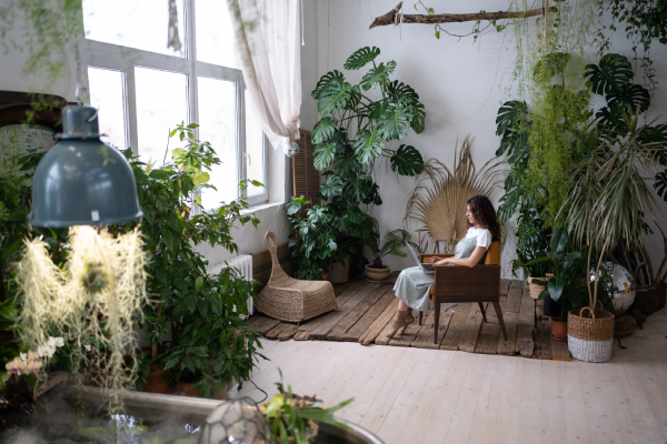 Cómo los jardines interiores mejoran el estado de ánimo en casa