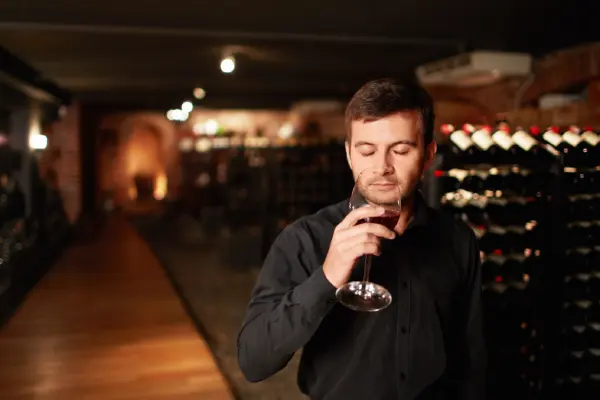 Sumérgete en la cultura del vino, conoce los tipos