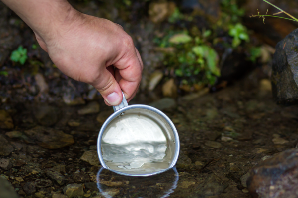 El agua dulce: orígenes y evolución