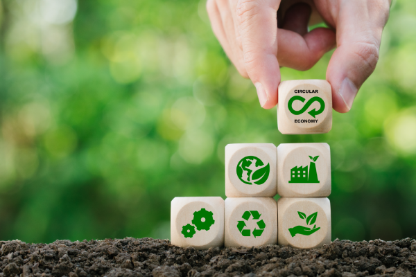 Economía circular: una oportunidad de emprendimiento
