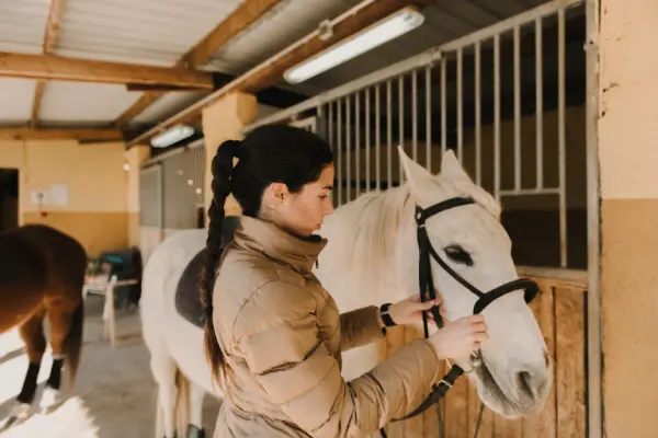 Equinoterapia: Terapia de rehabilitación