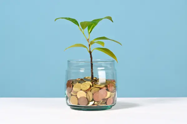 Invertir en Colombia: Guía para principiantes que quieren hacer crecer su dinero en 2025
