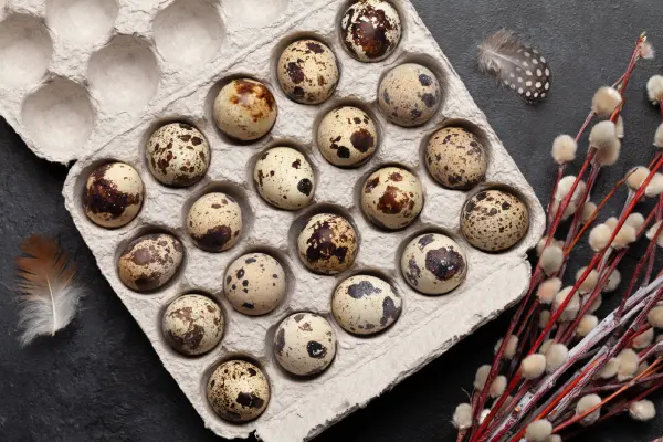 Alimentos nutritivos: huevos de codorniz