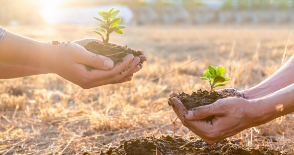 ¿Por qué es importante cuidar el medio ambiente?