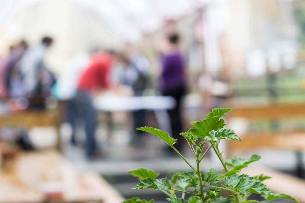 Aprendizaje verde: formaciones que preparan para una economía sostenible