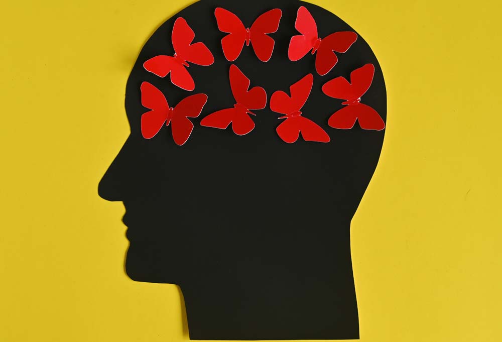 La Neurociencia del Optimismo: Cultivando una mentalidad positiva para el bienestar diario