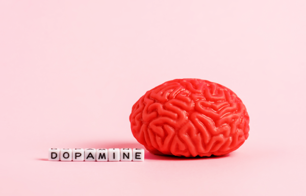 ¿Qué hace la dopamina para que estemos motivados?