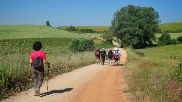El Camino de Santiago: historia, rutas destacadas y consejos clave
