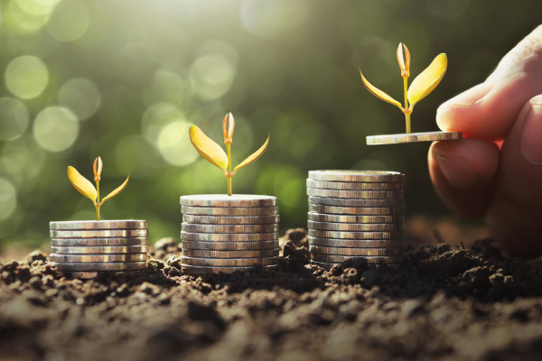 Opciones de inversión: acciones, bonos, fondos y bienes raíces