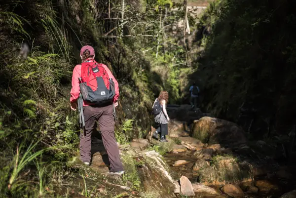 Senderismo y mindfulness: mejora tu salud mental y física al caminar
