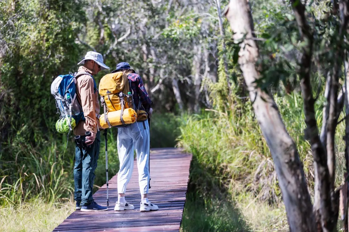 Rutas de senderismo seguras para principiantes.