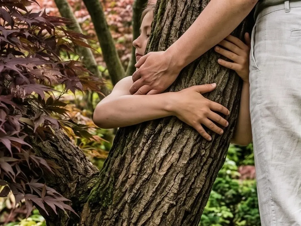 Bosques terapéuticos