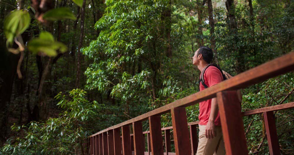 Turismo de naturaleza, Jardines botánicos y parques urbanos.