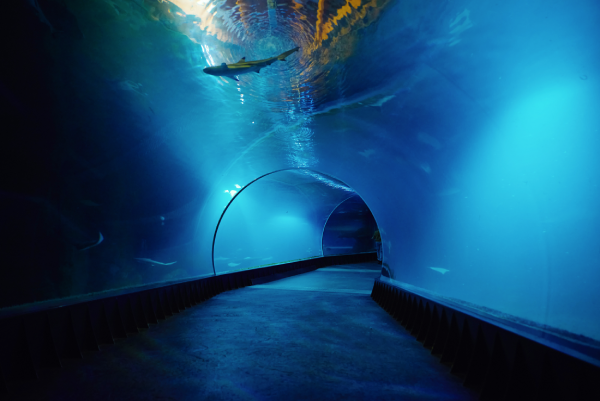 El túnel submarino, un éxito de la Ingeniería civil