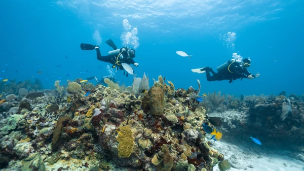 Buceo en cartagena