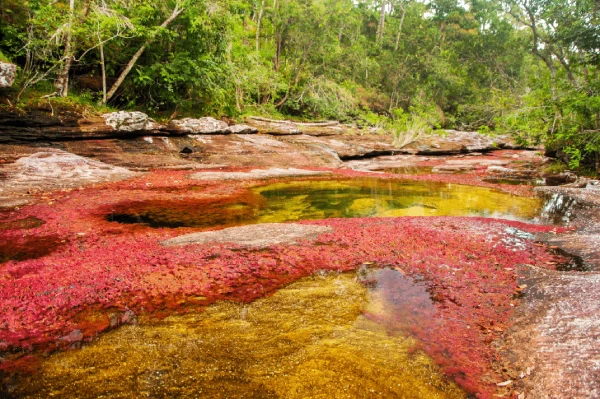 caño cristales