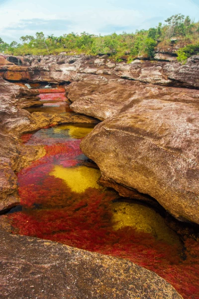 colombia