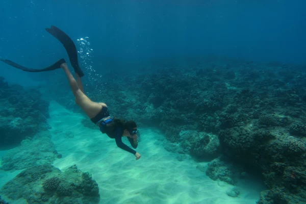 Buceo en san andres