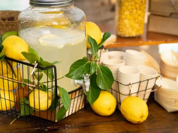 Lemonade Stand