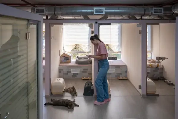 microviviendas
