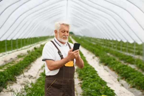  innovación en el campo